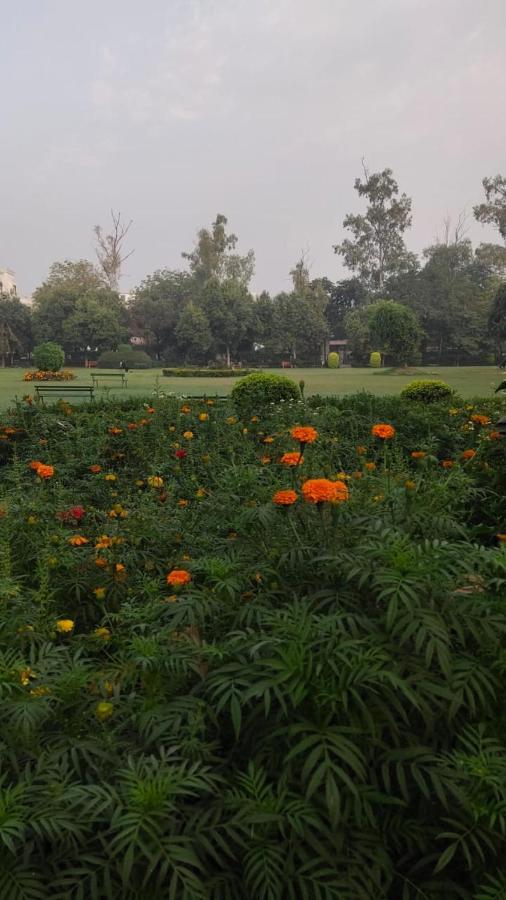 Maplewood Guest House, Neeti Bagh, New Delhiit Is A Boutiqu Guest House - Room 5 Luaran gambar