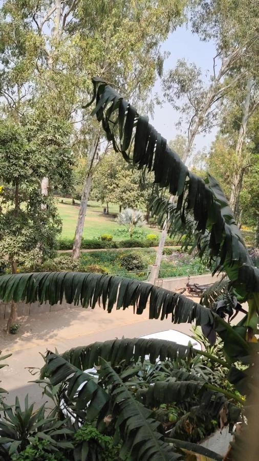 Maplewood Guest House, Neeti Bagh, New Delhiit Is A Boutiqu Guest House - Room 5 Luaran gambar